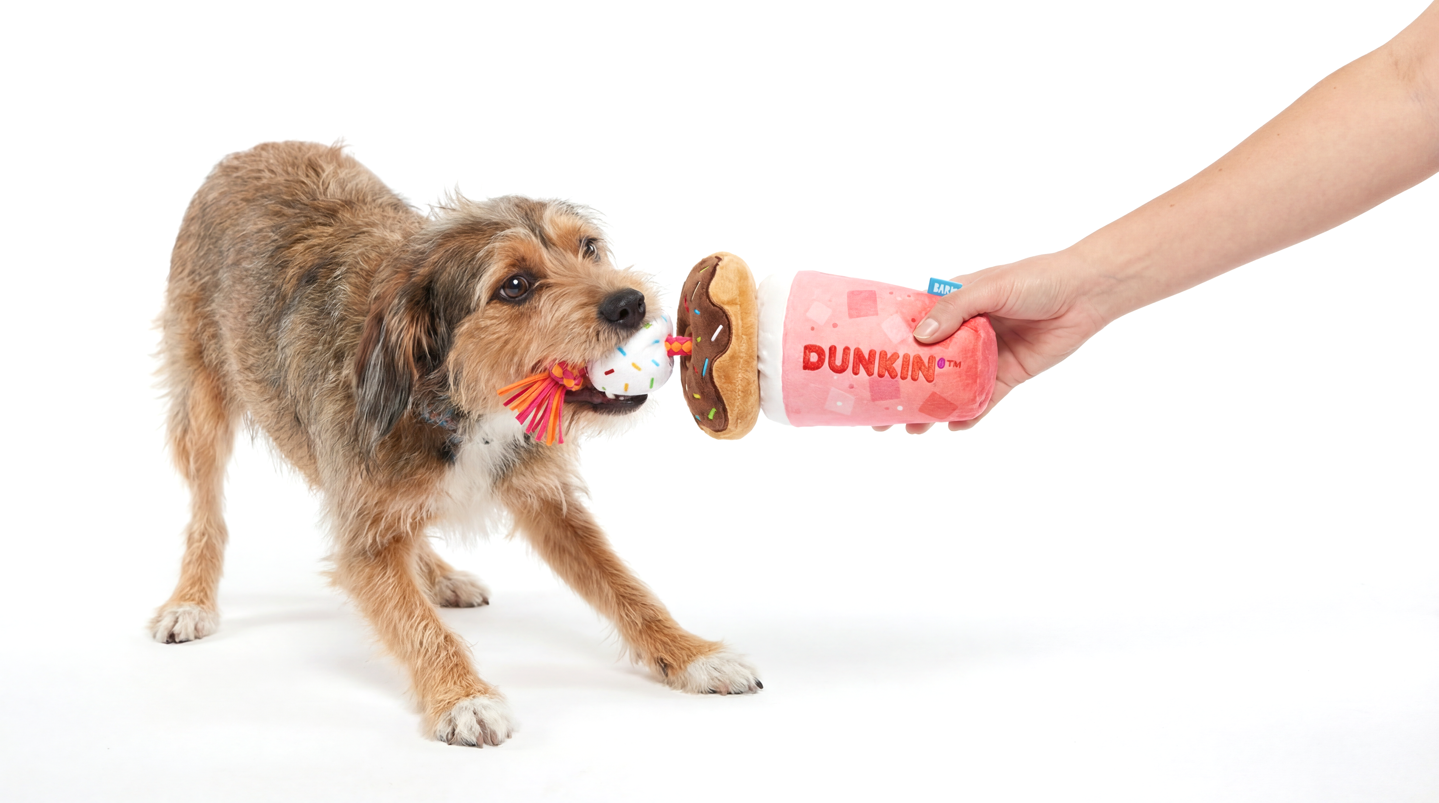 Dunkin’s Dog Drive-Thru Experience Has Everyone Wagging Their Tails